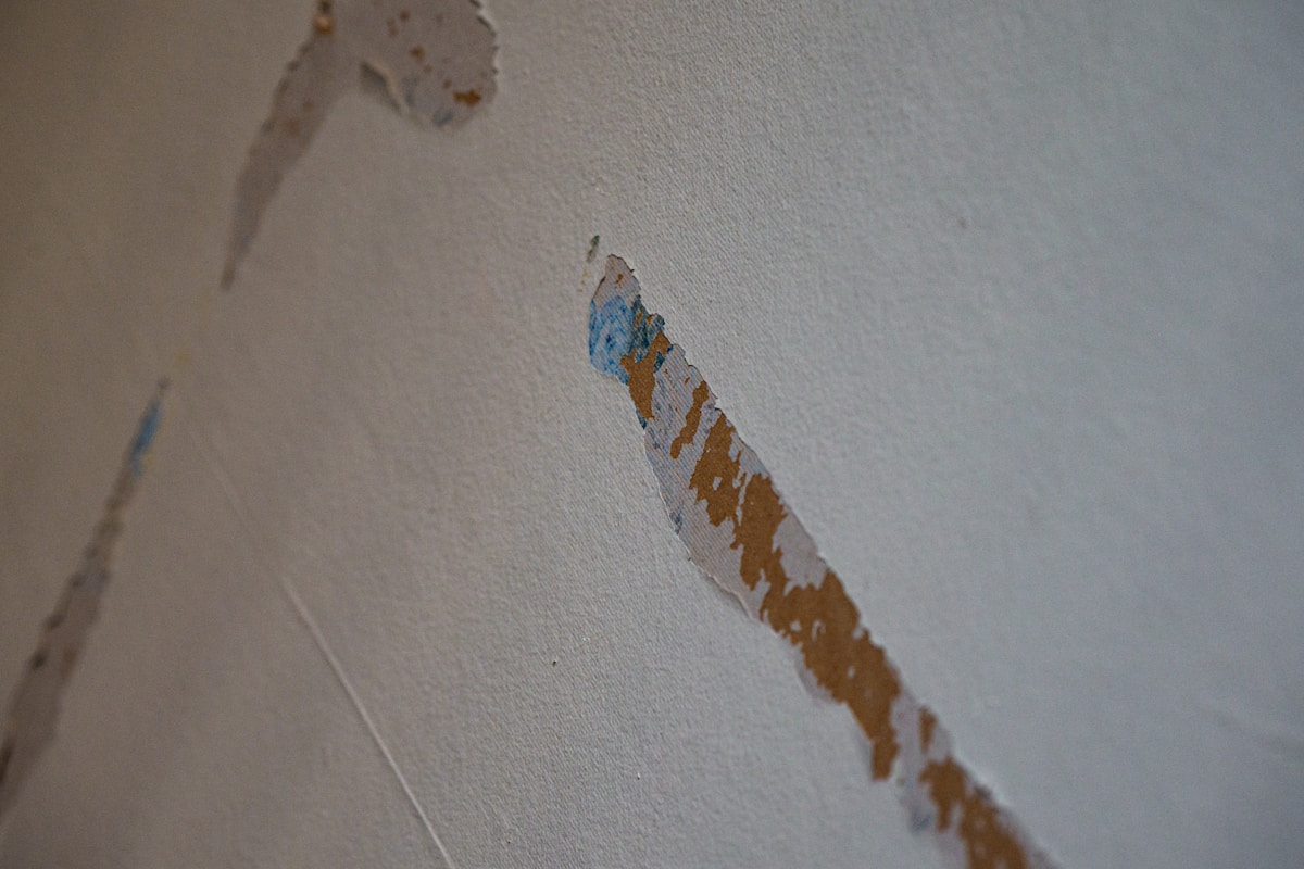 Flood Cleanup service in Ceres, CA